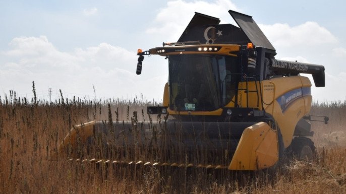 Konya Ovası’nda Endüstriyel Kenevir Hasadı Başladı: Az Su, Yüksek Verim!